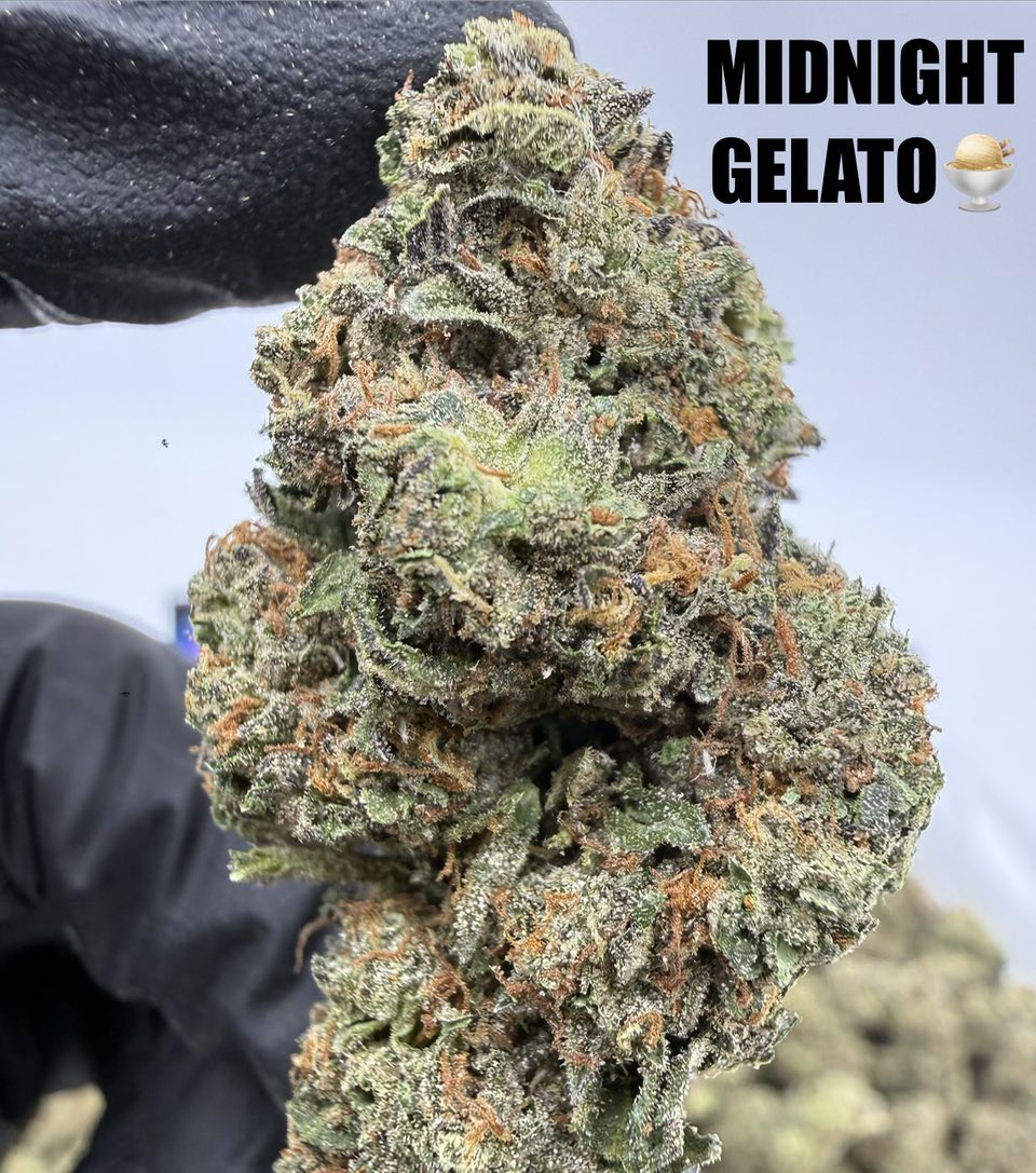 MIDNIGHT GELATO Slide 3